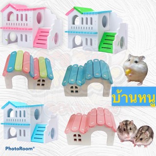 บ้านหนูแฮมเตอร์ ชูก้า วินเทอร์ แฮมเตอร์ hamter หนู บ้านหนู