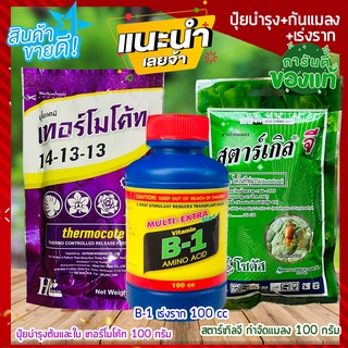 บำรุง+เร่งราก+กันแมลง🔸 ปุ๋ยเทอร์โมโค้ท+น้ำยาเร่งรากB1+สตาร์เกิลจีกำจัดแมลง 🔸 100กรัม ปุ๋ยกุหลาบ ปุ๋ยแคตตัส ไม้ดอกไม้ปร