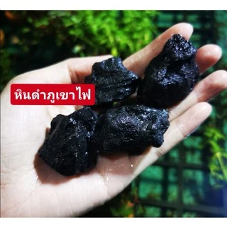 🥇☘️หินภูเขาไฟดำ​ ช่วย​ น้ำใส🏕️🐟ช่วยดูดกลิ่นตู้ปลา​ ดูดขี้ตะไคร่​