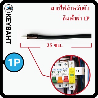 สายไฟต่อกันฟ้าผ่า 1Pole และ 2Pole พร้อมย้ำหางปลา