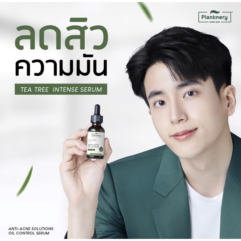 Plantnery tea tree set