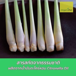 สเปรย์กันยุง สัตว์เลี้ยง ตะไคร้หอม สกัดจากธรรมชาติ ออร์แกนิก (ปลอดภัยกับเด็กและสัตว์เลี้ยง) 120ml