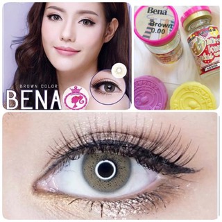 (แท้100%) คอนแทคเลนส์ Kitty Kawaii Bena Brown ค่าอมน้ำสูง เลนส์นิ่ม สีน้ำตาล ค่าสายตา 0.00 ฟรีตลับใส่เลนส์