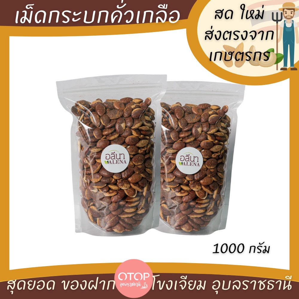 เม็ดกระบก คั่วเกลือ เกรดพรีเมียม OTOP โขงเจียม อุบลราชธานี บักบัก,หมากบก,มะมื่น