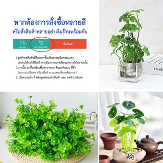 ต้นโคลเวอร์ /แว่นแก้ว(ใบบัวบก) ต้นไม้ประดิษฐ์ สวยงามเสมือนจริง (พร้อมส่งในไทย ถึงเร็วทันใจ)