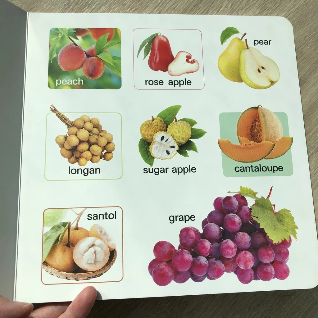 หนังสือบอร์ดบุ๊ค กระดาษแข็ง หนา ฉีกไม่ขาด 🔖 หนังสือเด็กเล็ก หนังสือคำศัพท์ 🔖 ใช้กับ talking pen ได้ misbook thumbnail 8