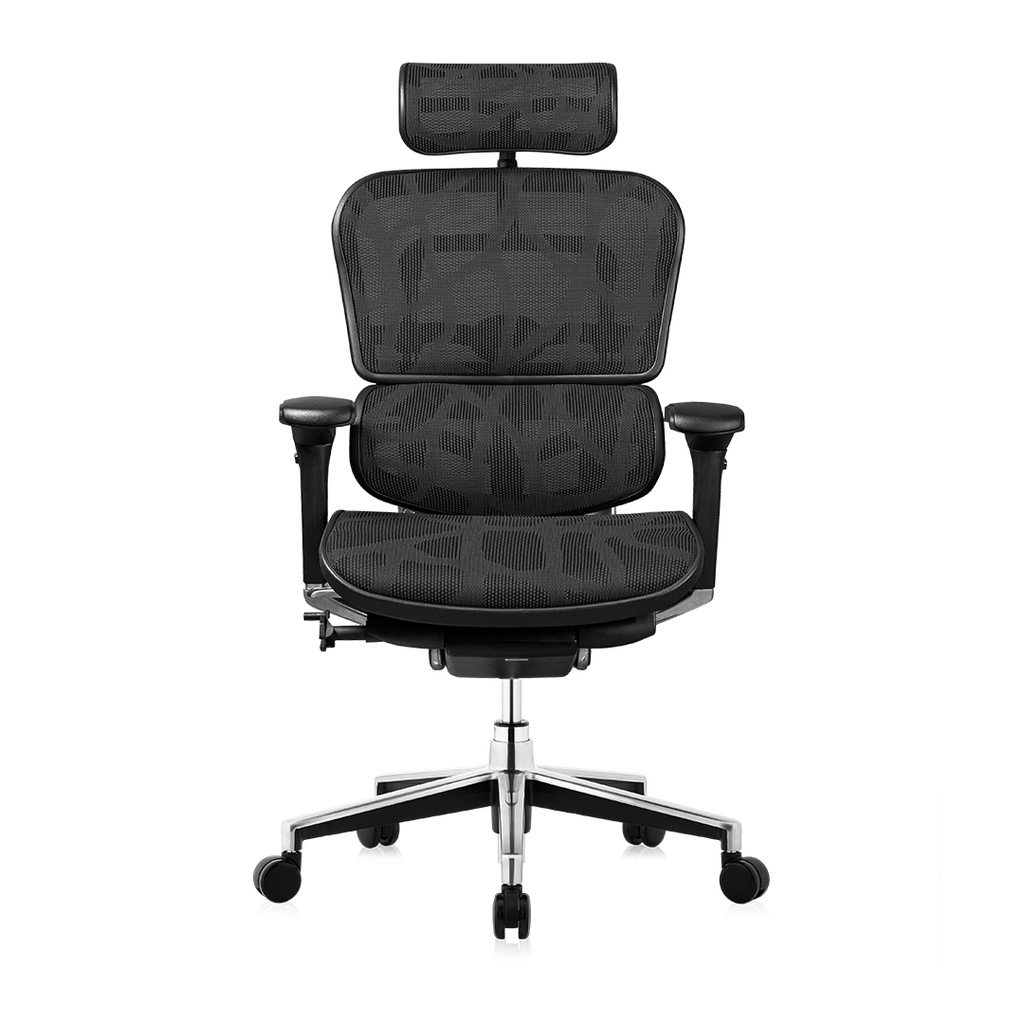 DF Prochair | เก้าอี้เพื่อสุขภาพ รุ่น Ergo2 ฟังก์ชั่นแขนใหม่