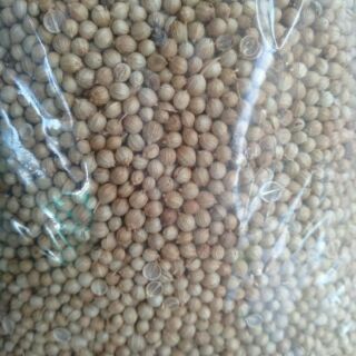 เมล็ดผักชี (หอมป้อม)300กรัม60บาท