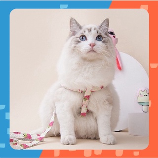 [🚚 พร้อมส่ง] สายจูงสัตว์เลี้ยง ลายผลไม้ Fruit Series Pet Leash สายจูงแมว สายจูงหมา ปลอกคอแมว เชือกจูงแมว สายรัด