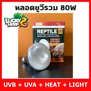 Lucky Herps UVA UVB Heat Lamp หลอดรวมยูวีและความร้อน ครบทุกอย่างในหลอดเดียว สำหรับสัตว์ทุกชนิดที่ต้องการยูวีทดแทนแสงแดด