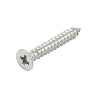 อุปกรณ์ยึดติด สกรูเกลียวปล่อย TF FITT 3.5X25 MM 12 ตัว Screws, Nuts &amp; Washers