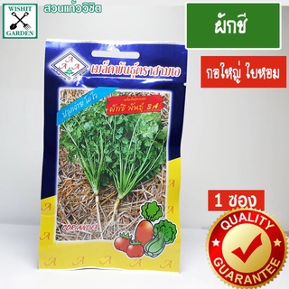 เมล็ดพันธุ์ ผักชี พันธุ์3A 1 ซอง เมล็ดพันธุ์ผักเพื่อสุขภาพ เมล็ดพันธุ์คุณภาพ เมล็ดพันธุ์ตราสามเอ