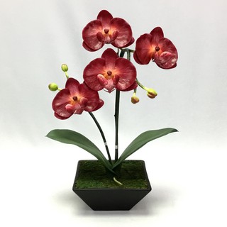 OrientalFineArt กล้วยไม้ Phalaenopsis กระถางดอกไม้ประดิษฐ์ตกแต่งบ้าน