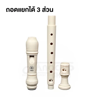 ขลุ่ย รีคอร์เดอร์ เรคอร์เดอร์ ขลุ่ยยามาฮ่า YAMAHA recorderคีย์ C รุ่น YRS-23 G