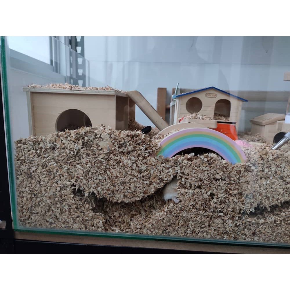 ENDUST 6KG SUPERB SAWDUST for Hamster Bedding Pet Bedding Guinea Pig