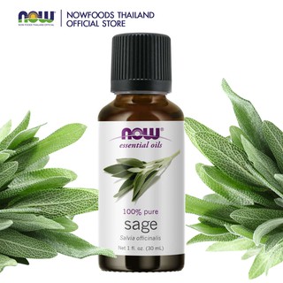 Now Sage Essential Oil 30 ml 100% Pure (น้ำมันหอมระเหย เสจ)