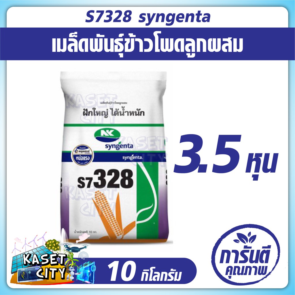 ข้าวโพดเลี้ยงสัตว์   syngenta S7328 (3.5หุน) น้ำหนัก 10 กก. ข้าวโพด เมล็ดพันธุ์  เมล็ดผัก