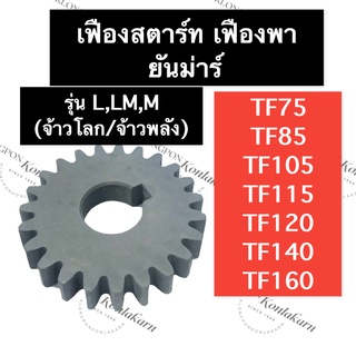 เฟืองสตาร์ท เฟืองพา ยันม่าร์ TF75 TF85 TF105 TF115 TF120 TF140 TF160 L,LM,M (จ้าวโลก/จ้าวพลัง) เฟืองสตาร์ทยันม่าร์ เฟือง