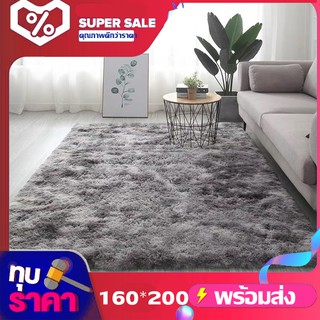 พรมปูพื้น ขนาด Carpet Velvet Indoor Morden Area Rugs Pads Living Room Bedroom Floor Carpet（160X200CM)（800X160CM)