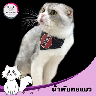 cataccessories ผ้าพันคอสำหรับแมว  ผ้าพันคอทรงสามเหลี่ยมสำหรับแต่งตัวแมว ผ้าพันคอสัตว์เลี้ยง สีดำ มี3ขนาดให้เลือก