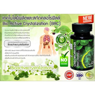 CHLOROPHYNA คลอโรฟิน่า คลอโรฟิลล์ โดย อ.ภูริต การันตรีสินค้ามีคุณภาพ อาหารเสริมดูแลระบบเลือด เช่น เรื่องโรคโลหิตจาง