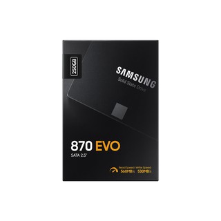 SAMSUNG SSD 250GB 870 EVO 250 GB 2.5" MZ-77E250BW