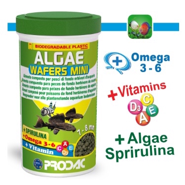 Prodac Algae Wafer Mini 250ml (Foc Wafer Mix 100ml) (อาหารปลา)