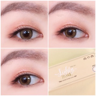 พร้อมส่ง Contactlens คอนแทคเลนส์เกาหลี รายวัน lenstown