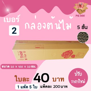 PIGBOX กล่องต้นไม้ เบอร์ 2 ลูกฟูกหนา 5 ชั้น ( 5 ใบ) ส่งฟรีทั่วประเทศ