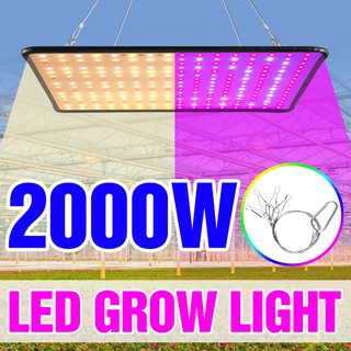 หลอดไฟ LED 2000W 220V สําหรับปลูกพืชเรือนกระจก