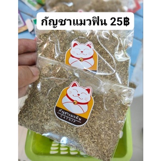 กัญชาแมวฟินเว่อร์25฿