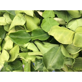 Kaffir lime leaves ใบมะกรูดตากแห้ง....ปลอดสารพิษ ขนาด 100 กรัม