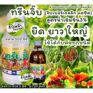 ทรีนจิ๊บ จิ๊บน้ำ3% ยายืด สารยืดช่อ สารยืดผล กรดจิบเบอเรลลิก