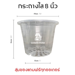 กระถางกลมใส 8 นิ้ว (พลาสติก) ราคาส่ง | Transparent round pot 8 inches (plastic) wholesale price