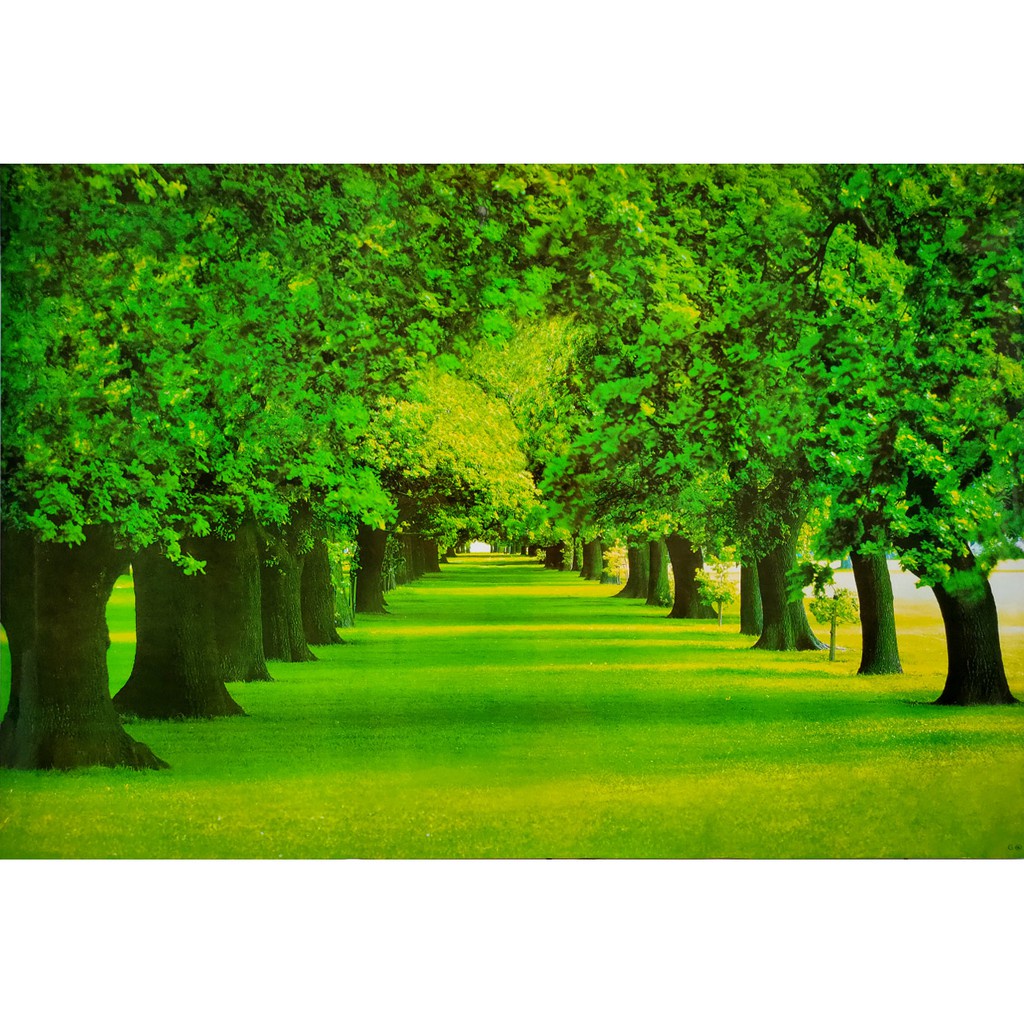 ผ้าแขวนผนัง โปสเตอร์ รูปถ่าย ทางเดิน ต้นไม้ วิว ธรรมชาติ Landscapes Nature POSTER 24”x35” Inch Beaut