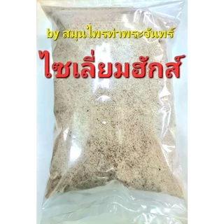 ไซเลียมฮัสก์ แห้ง ( บรรจุซองฟรอยด์ กันความชื้น อย่างดี ) Psyllium Husk ใยธรรมชาติ ไซเลี่ยมฮัก ไซเลี่ยมฮัสค์ ไซเลี่ยม