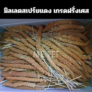 มิลเลตสเปร์ยแดง/เหลืองเกรด A มิลเลตแดงฝรั่งเศส สำหรับนกนานาชนิดและแฮมเตอร์ อาหารนก มิลเล็ตสเปร์ยแดง (200g/500g)