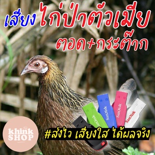 เสียงต่อไก่ป่าตัวเมีย ตอดสลับกระต๊าก ยั่วๆ เรียกไก่ตัวผู้ เมมเสียงไก่ป่าตัวเมีย ตอดสลับกระต๊าก ยั่วๆ เรียกไก่ตัวผู้