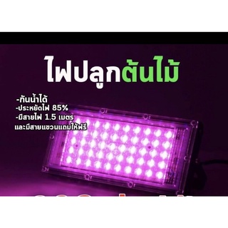 220V Full Spectrum LED Grow Light 50Wไฟปลุกต้นไม้ สายไฟยาว1.5โมตร