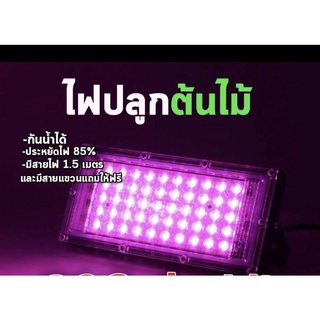 220V Full Spectrum LED Grow Light 50Wไฟปลุกต้นไม้ สายไฟยาว1.5โมตร