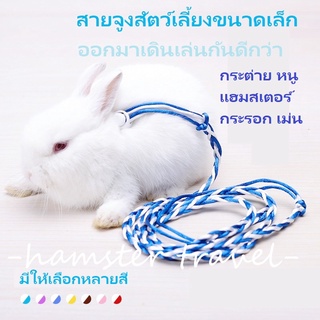 【พร้อมสต็อก】เชือกจูง สำหรับสัตว์เลี้ยง แฮมสเตอร์ เม่นเเคระ กระต่าย กระรอก ชูการ์