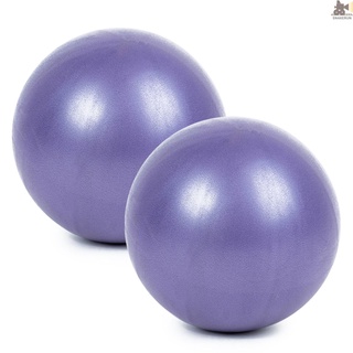 Snakerun 25cm 2 Pcs Yoga Ball Anti-burst Thick Stability Ball Mini Pilates Barre Physical Ball