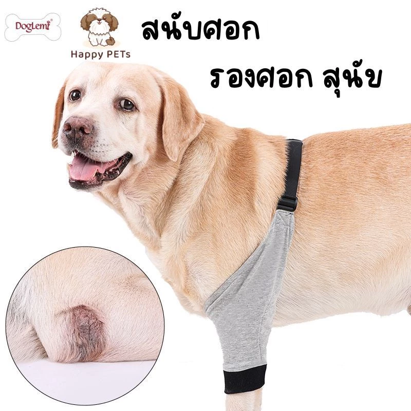 Happy PETs สนับศอกสุนัข สนับเข่าสุนัข ป้องกันศอกด้าน รองศอก ป้องการการเสียดสีกับพื้น DogLemi
