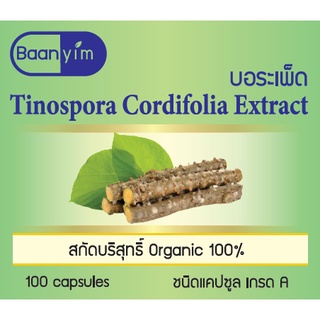 บอระเพ็ด Tinospora Cordifolia Extract ขนาด 500 มิลลิกรัม 100 แคปซูล