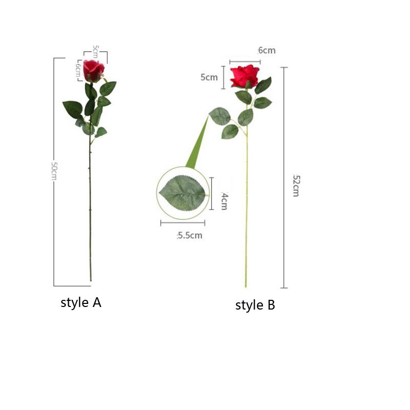 รูปภาพ 3