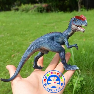 Munich Play - ไดโนเสาร์ Dilophosaurus น้ำเงิน ขนาด 18.50 CM (จากหาดใหญ่)