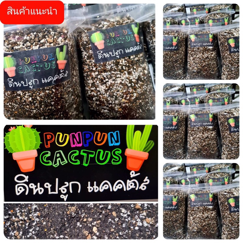 ดินปลูกแคคตัส สำเร็จรูปพร้อมปลูก 1 kg. ดินโปร่ง คุณภาพดี ราคาถูก สามารถปลูกได้ทั้งไม้อวบน้ำ ไลทอป บัวบกโขด ต้นไม้อื่นๆ