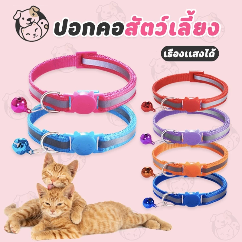 ปลอกคอ ปลอกคอแมว ตัวล็อคธรรมดา ตัวล็อคนิรภัย มีแถบสะท้อนแสง สีสันสดใส พร้อมส่ง C