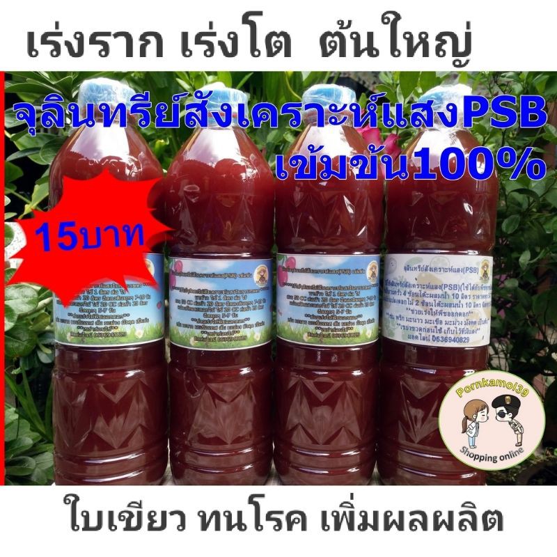 จุลินทรีย์สังเคราะห์แสง(PSB)100% เข้มข้น เร่งราก เร่งโต ต้นใหญ่ ใบเขียว ทนโรค(600ml)แถมวิธีใช้และขยาย