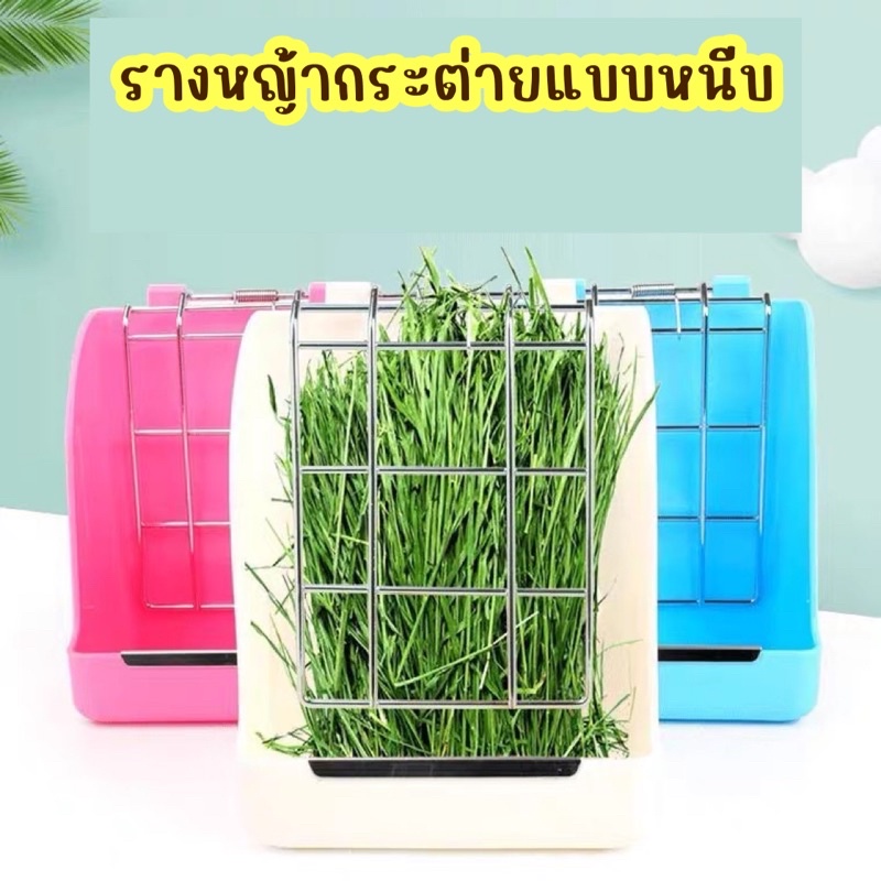 รางหญ้ากระต่าย รางหญ้าแบบหนีบ ที่ใส่หญ้า สำหรับกระต่าย แกสบี้ ชินชิลล่า